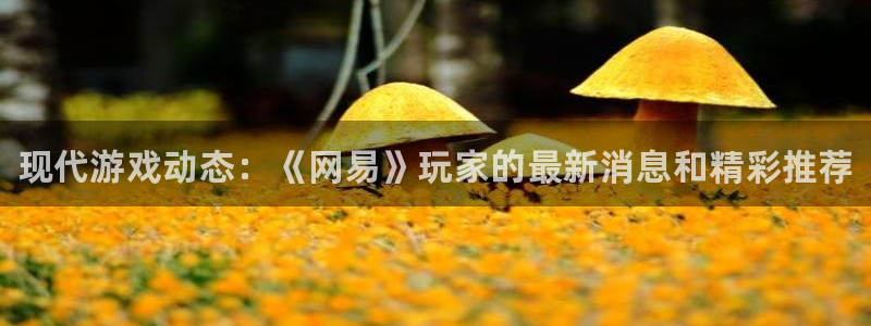 杜邦娱乐注册开户：现代游戏动态：《网易》玩家的最新消息和精彩