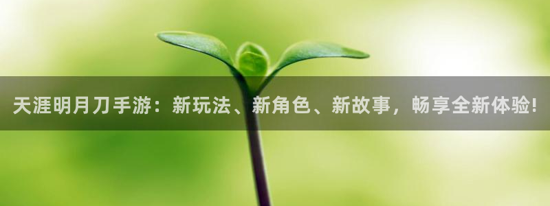 杜邦娱乐游戏：天涯明月刀手游：新玩法、新角色、新故事，畅享全