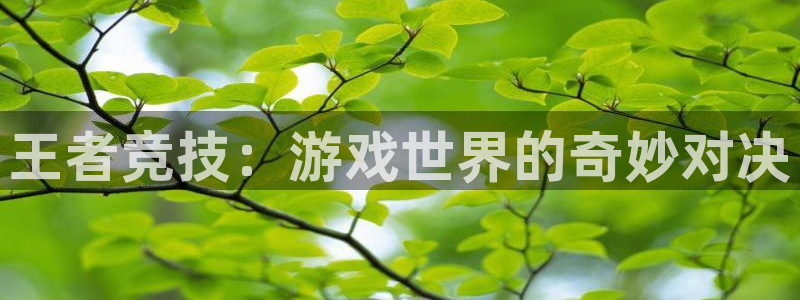杜邦娱乐平台官方网站：王者竞技：游戏世界的奇妙对决