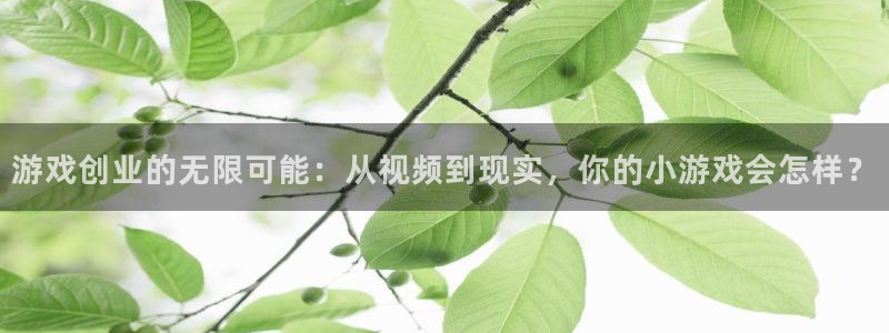 杜邦娱乐线路测试：游戏创业的无限可能：从视频到现实，你的小游