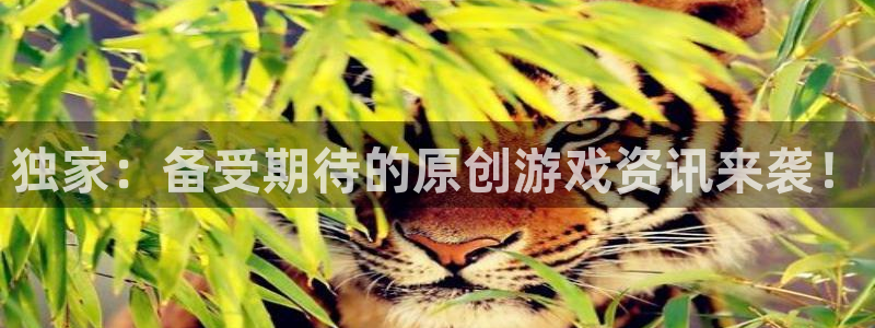 杜邦娱乐4招商：独家：备受期待的原创游戏资讯来袭！