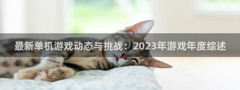 杜邦娱乐开户测速：最新单机游戏动态与挑战：2023年游戏年度
