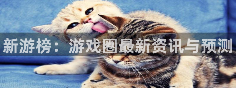 手机版杜邦娱乐客户端下载：新游榜：游戏圈最新资讯与预测