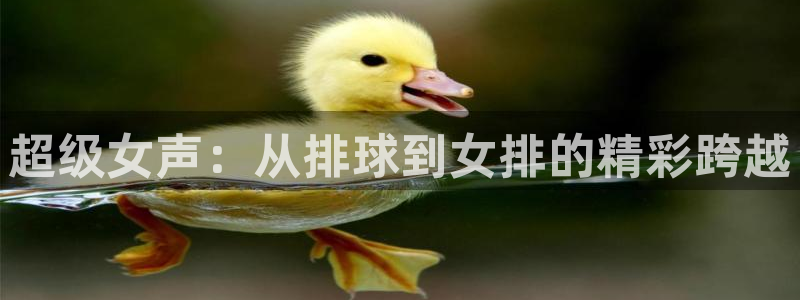 熊猫体育直播新的好游戏.认证网.org：超级女声：从排球到女排的精彩跨越