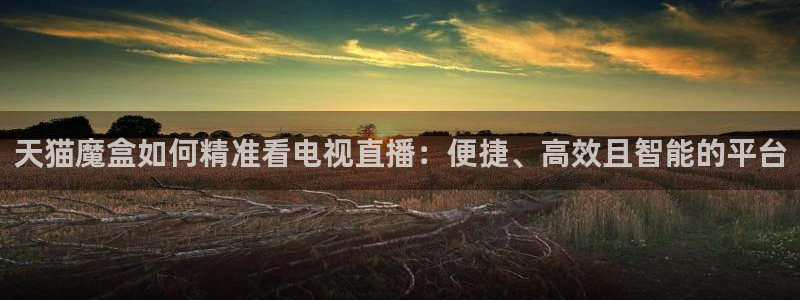 熊猫足球直播免费观看：天猫魔盒如何精准看电视直播：便捷、高效且智能的平台
