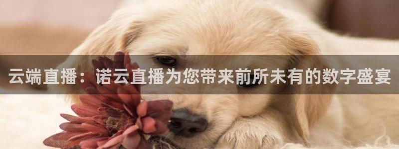 熊猫体育直播下载：云端直播：诺云直播为您带来前所未有的数字盛宴
