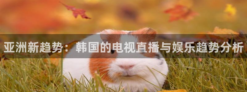 熊猫户外直播：亚洲新趋势：韩国的电视直播与娱乐趋势分析