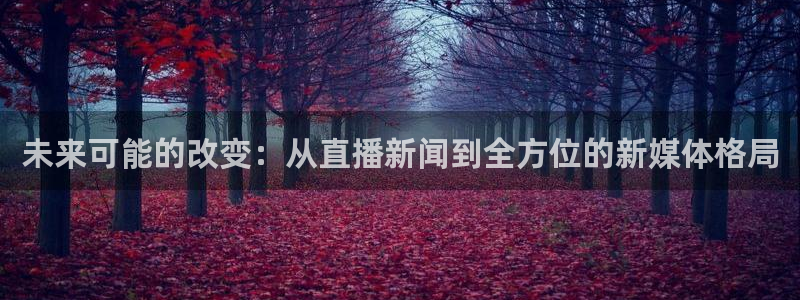 熊猫熊猫：未来可能的改变：从直播新闻到全方位的新媒体格局