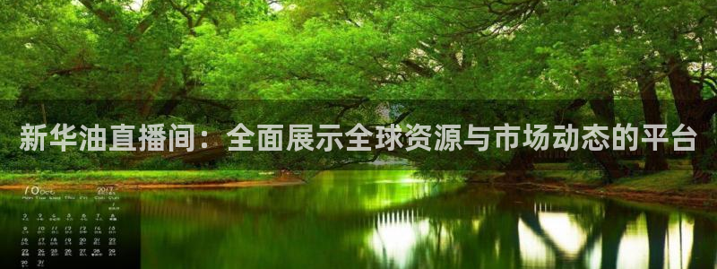 熊猫体育app：新华油直播间：全面展示全球资源与市场动态的平台