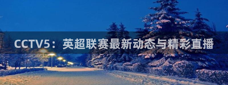 熊猫体育网址：CCTV5：英超联赛最新动态与精彩直播
