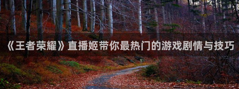 熊猫跳舞视频：《王者荣耀》直播姬带你最热门的游戏剧情与技巧