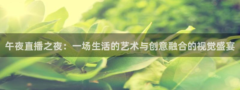 下载熊猫直播app：午夜直播之夜：一场生活的艺术与创意融合的视觉盛宴
