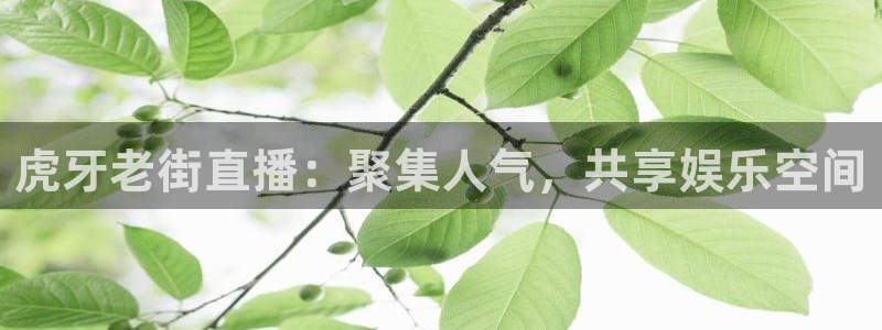 熊猫体育直播下载
