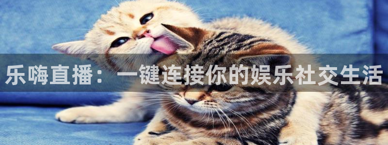 熊猫体育直播平台：乐嗨直播：一键连接你的娱乐社交生活