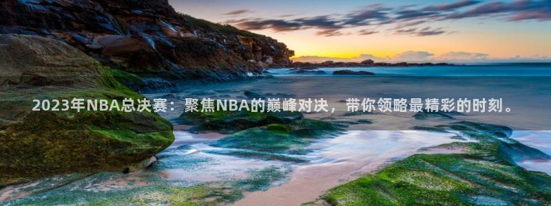 熊猫的：2023年NBA总决赛：聚焦NBA的巅峰对决，带你领略最精彩的时刻。