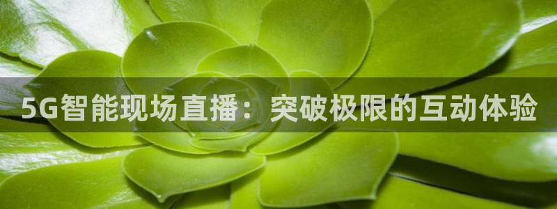 熊猫的：5G智能现场直播：突破极限的互动体验